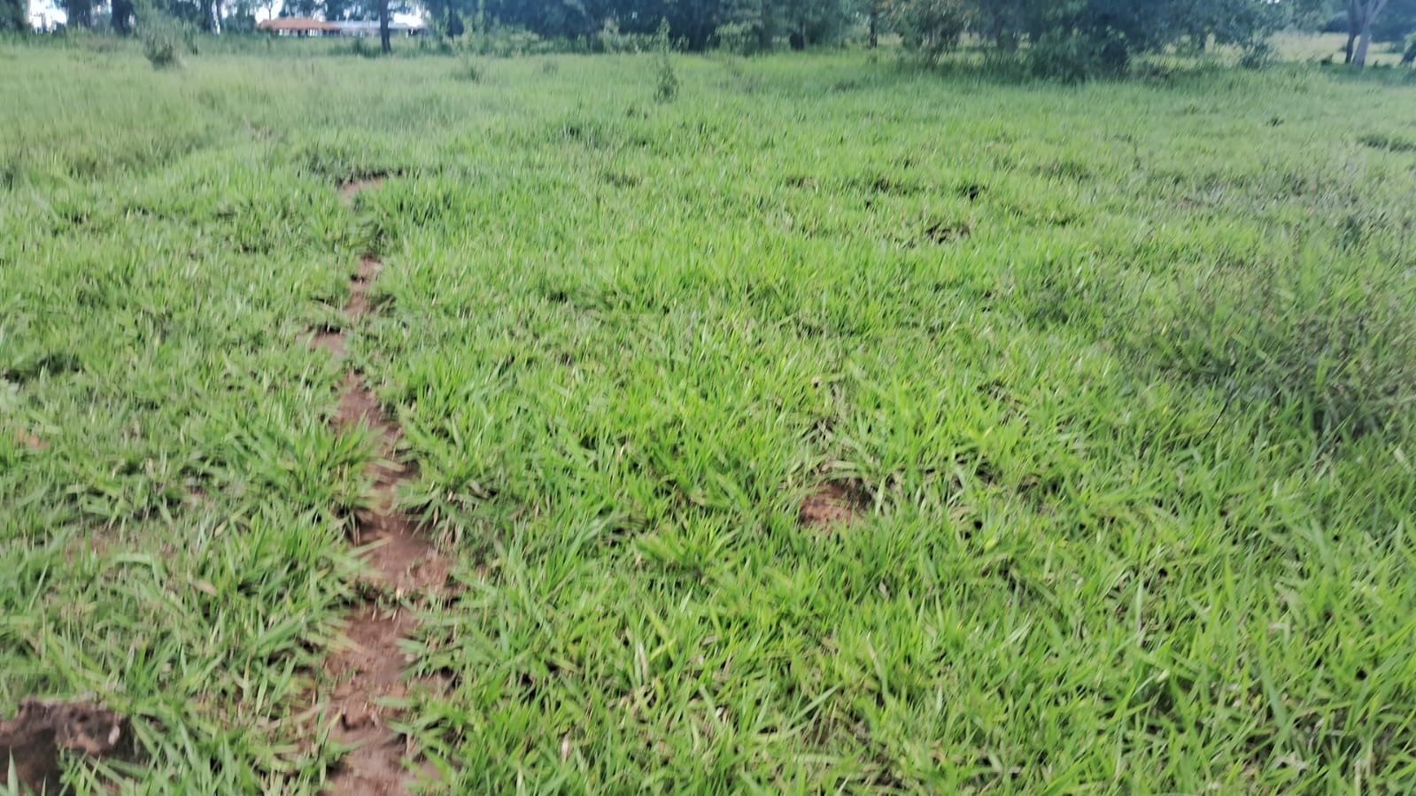 Fazenda, 94 m² - Foto 2