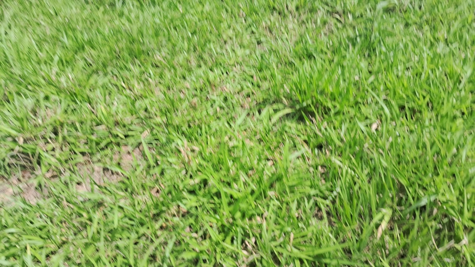 Fazenda, 94 m² - Foto 6