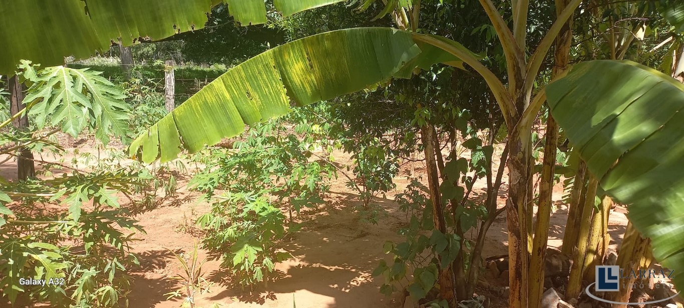 Chácara, 4 quartos, 3000 m² - Foto 28