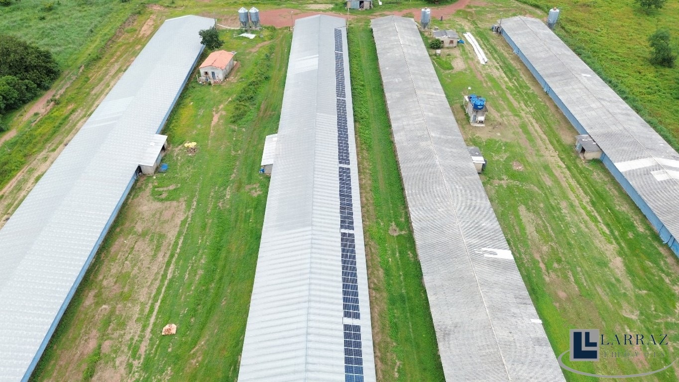 Sítio, 7 m² - Foto 27