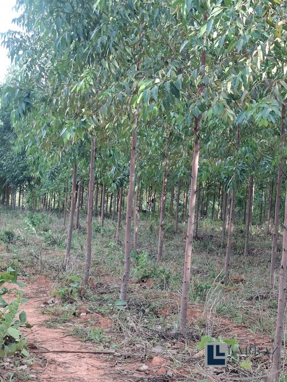 Fazenda, 221 m² - Foto 24
