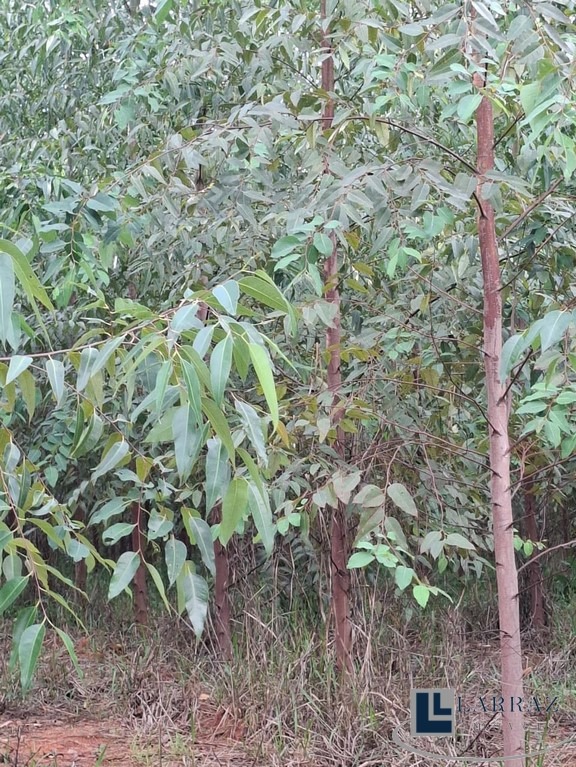 Fazenda, 221 m² - Foto 25