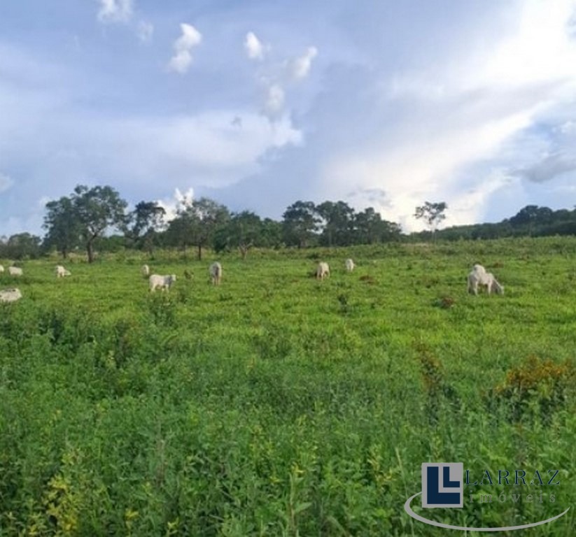 Fazenda, 221 m² - Foto 22