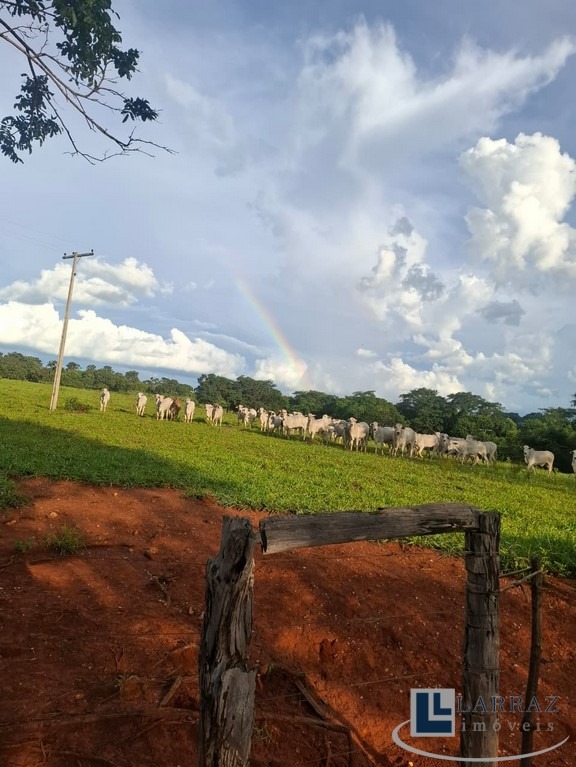 Fazenda, 221 m² - Foto 23