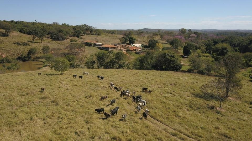Fazenda, 221 m² - Foto 41
