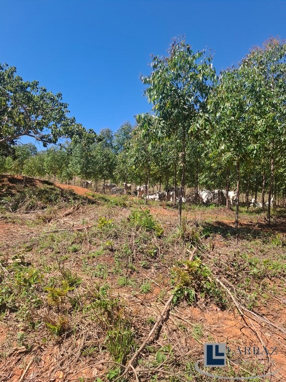 Fazenda, 221 m² - Foto 18