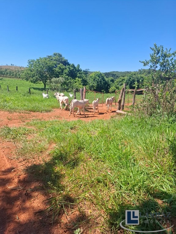 Fazenda, 221 m² - Foto 17