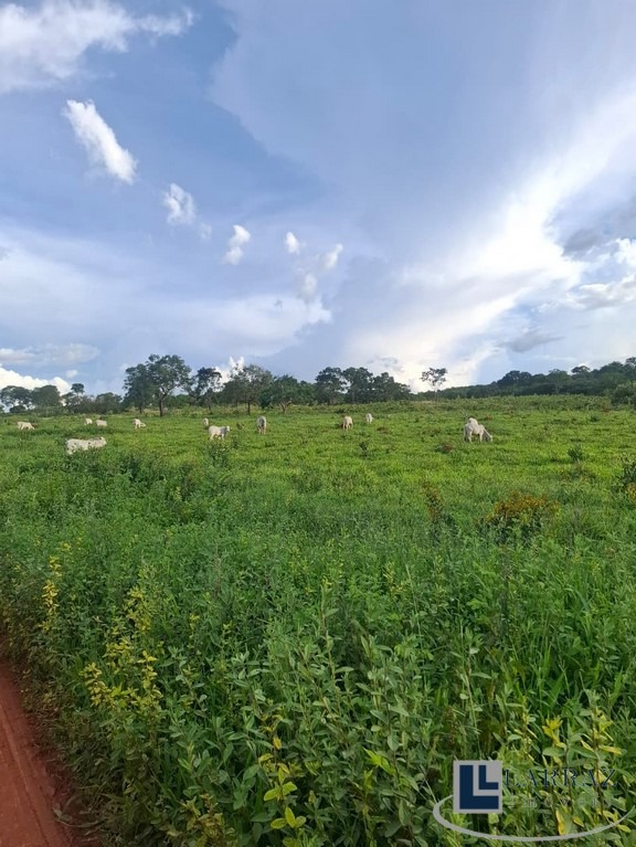 Fazenda, 221 m² - Foto 1