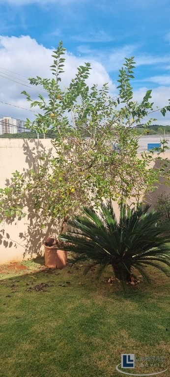Casa, 4 quartos, 353 m² - Foto 35