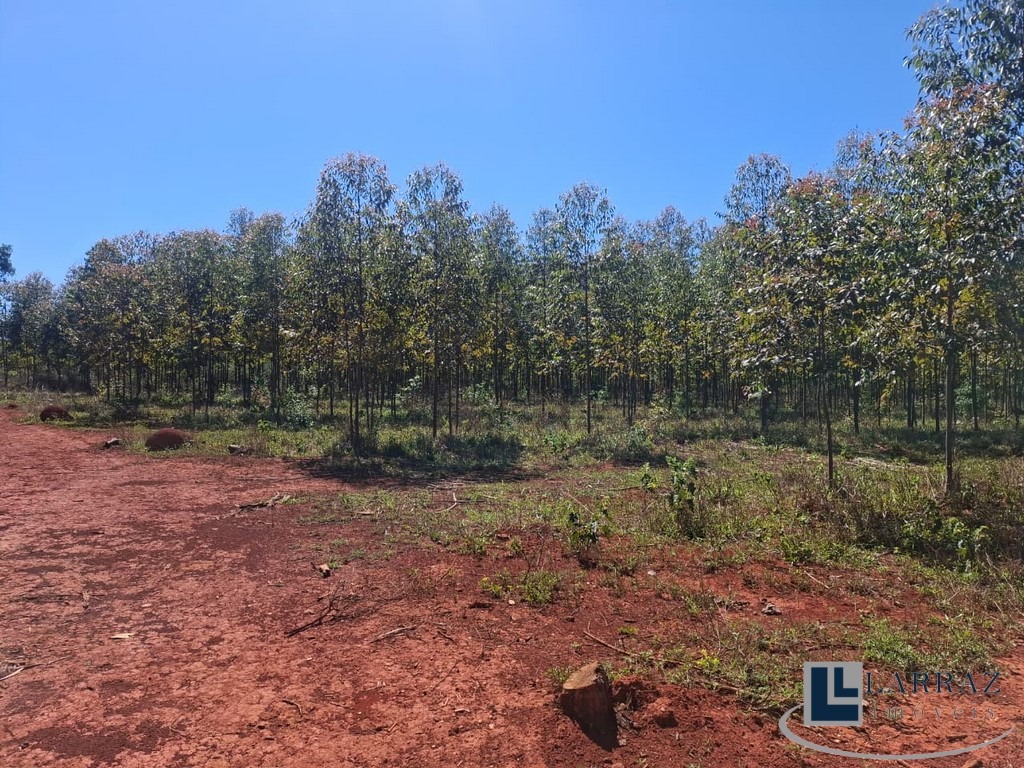 Fazenda, 221 m² - Foto 6