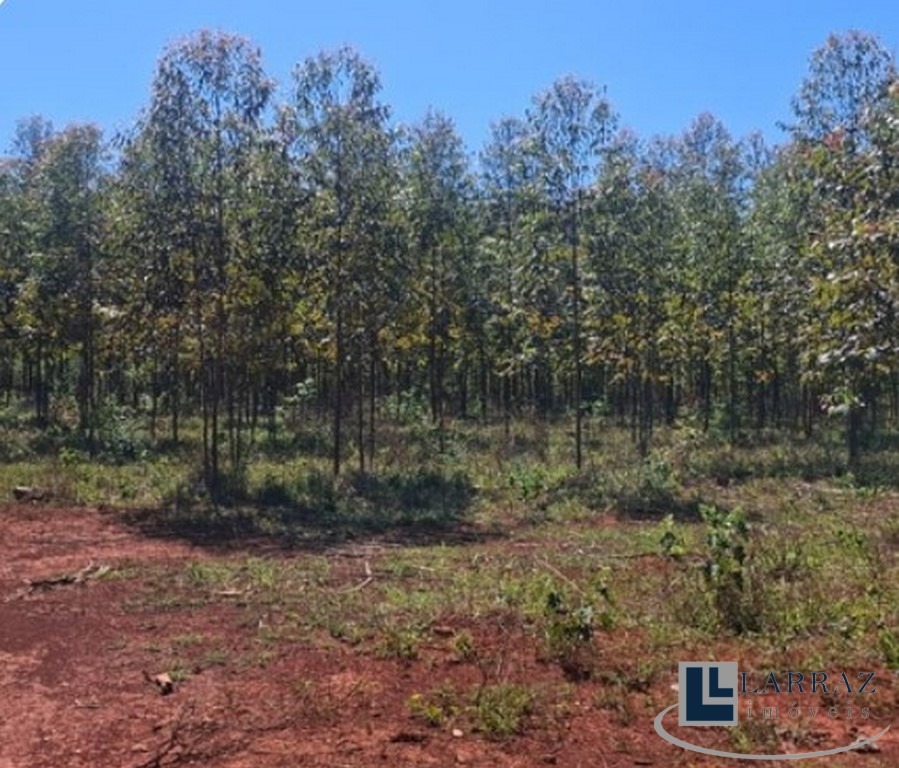 Fazenda, 221 m² - Foto 7