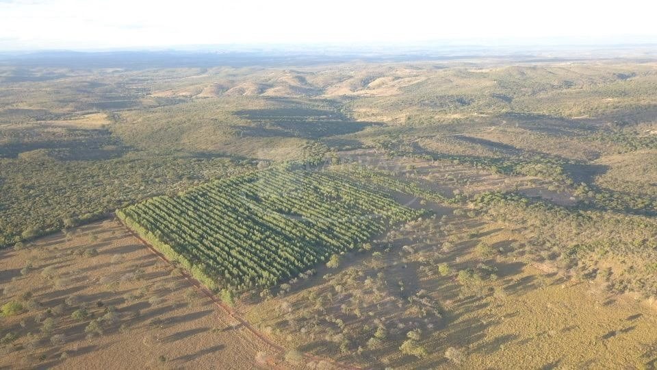 Fazenda, 221 m² - Foto 39