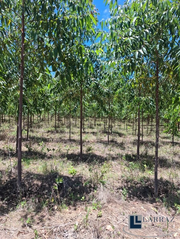 Fazenda, 221 m² - Foto 20