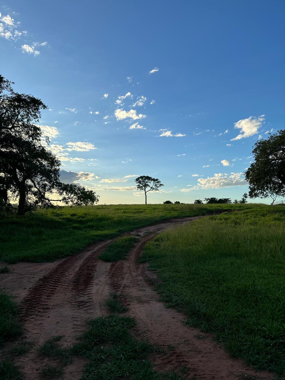 Fazenda, 46 m² - Foto 4