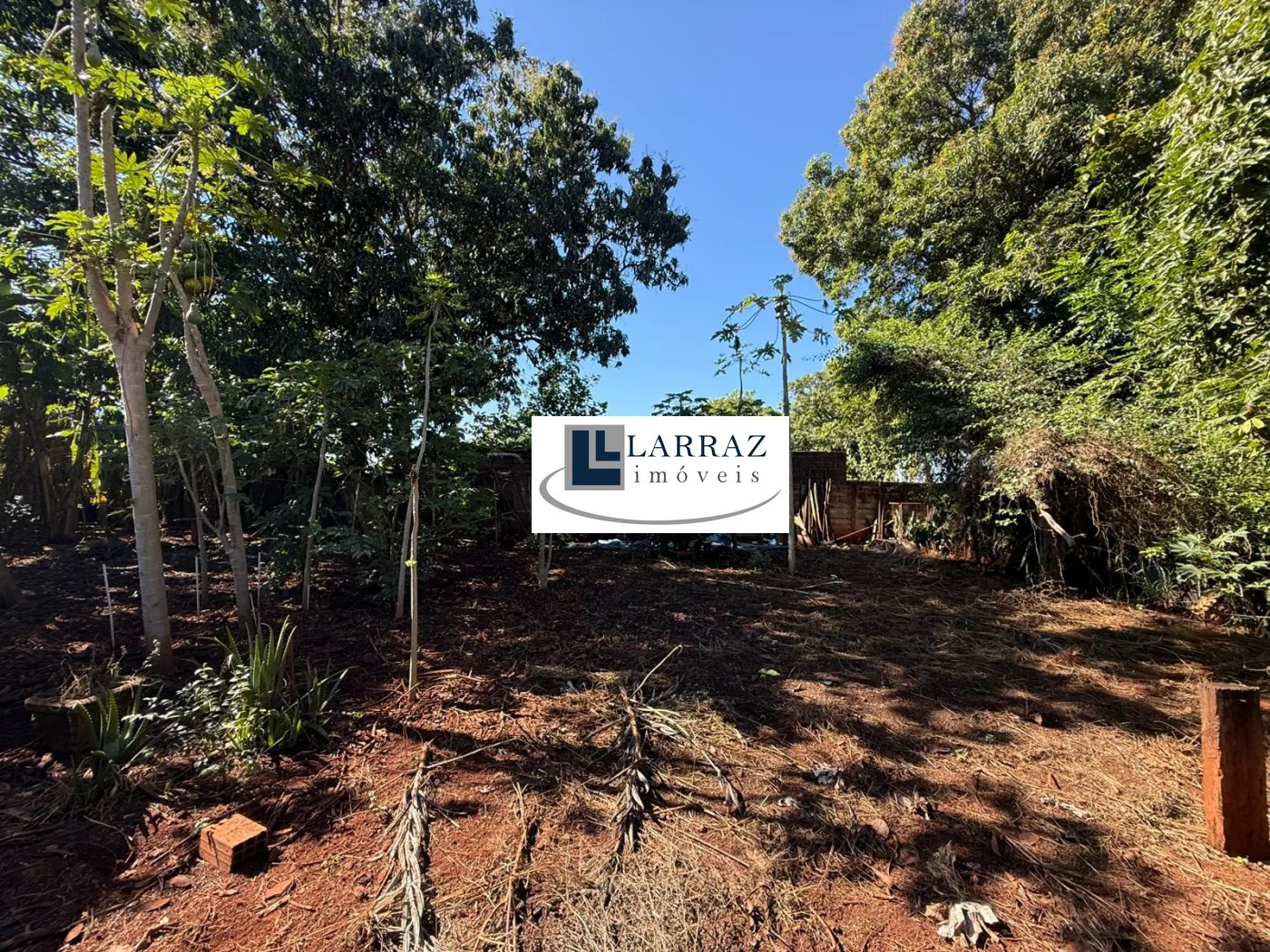Chácara, 3 quartos, 5054 m² - Foto 5
