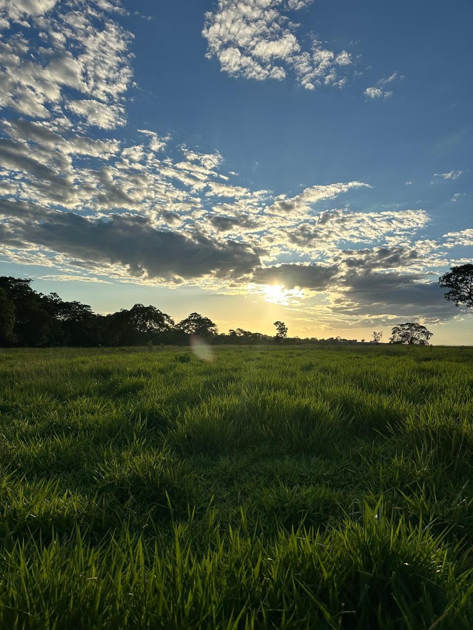 Fazenda, 46 m² - Foto 1
