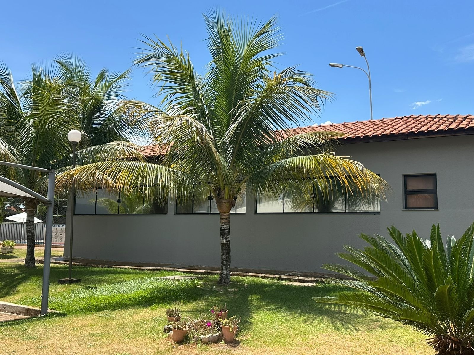 Apartamento, 2 quartos, 42 m² - Foto 24