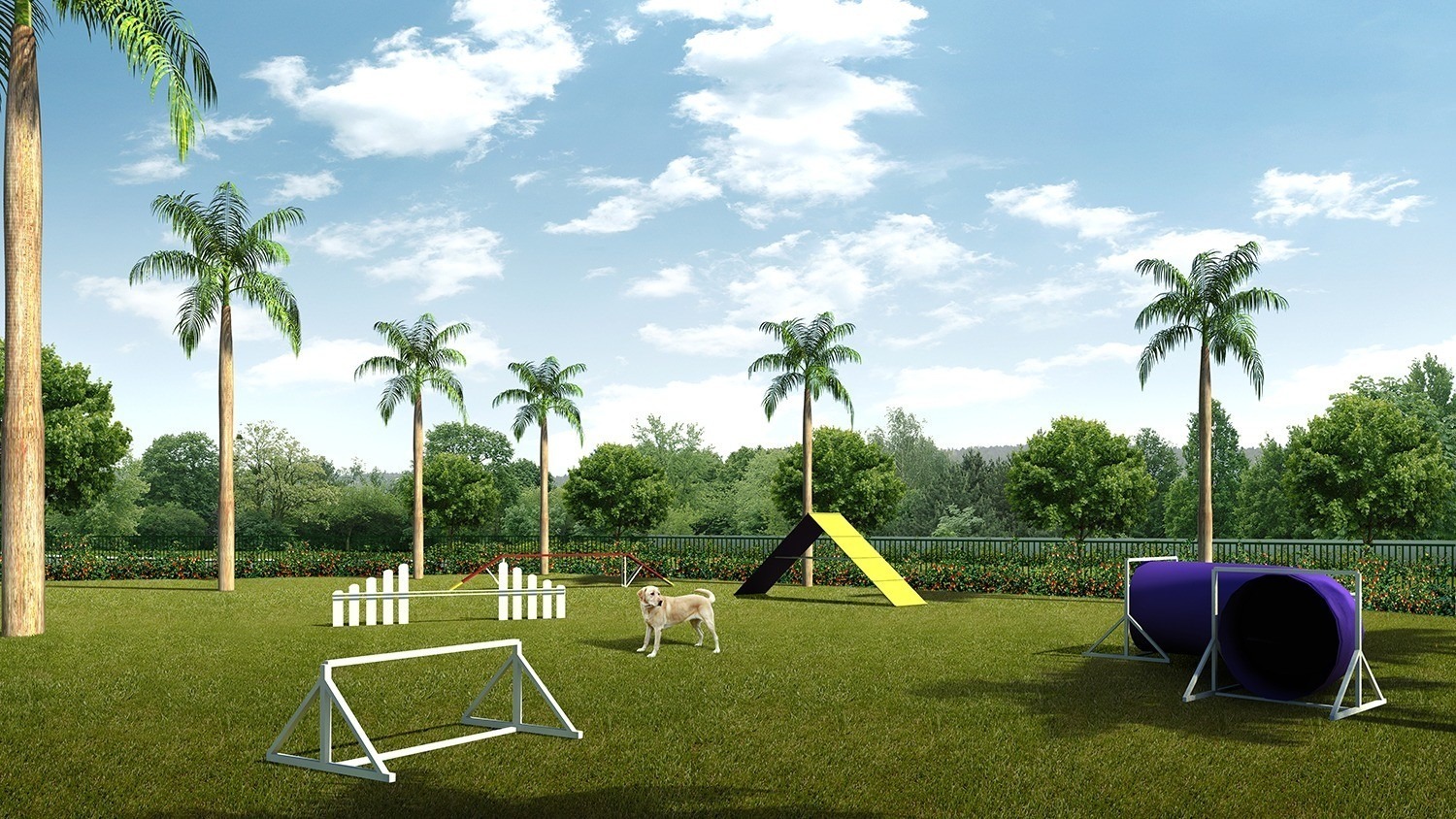 Terreno, 353 m² - Foto 7