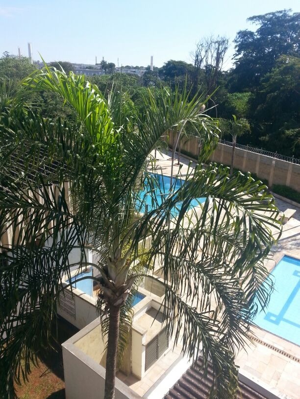 Apartamento, 2 quartos, 58 m² - Foto 45
