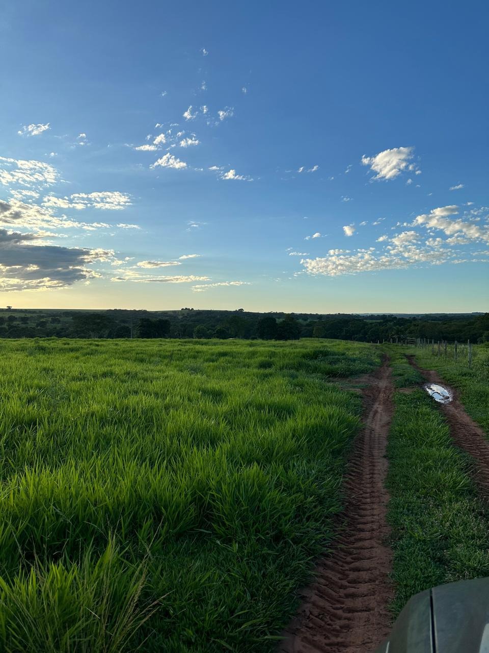 Fazenda, 46 m² - Foto 2