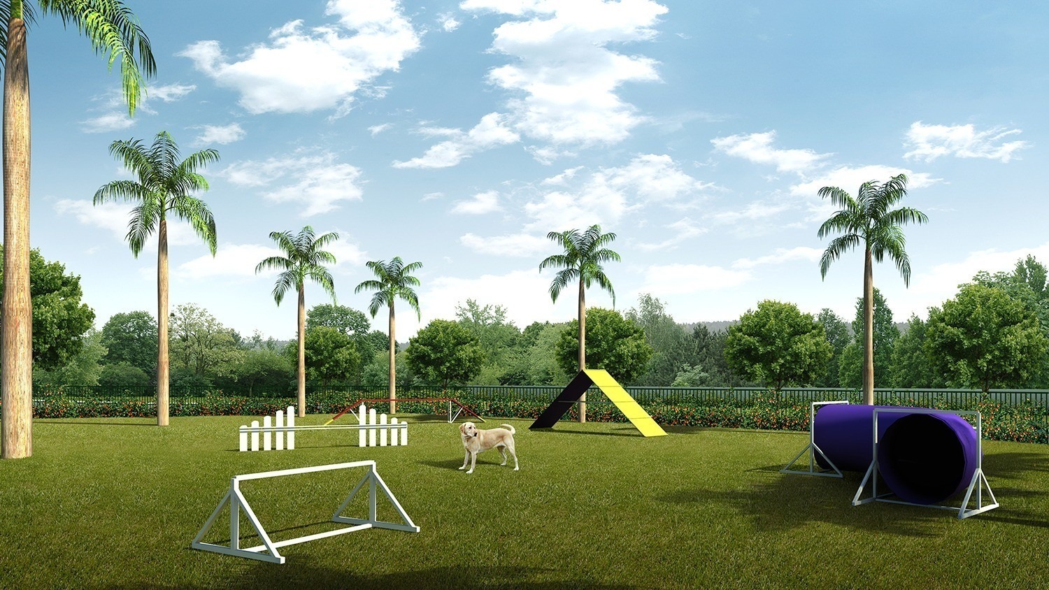 Terreno, 250 m² - Foto 10