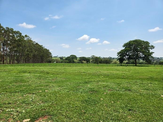 Fazenda, 256 m² - Foto 1