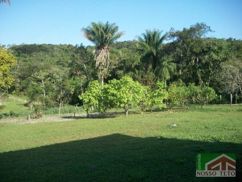 SÍTIO em ITIMIRIM, IGUAPE - SÍTIO A VENDA ITIMITIM, IGUAPE - Foto 8