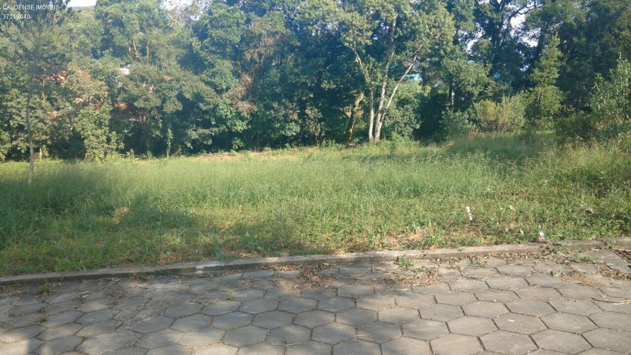 Chácara - Foto 2