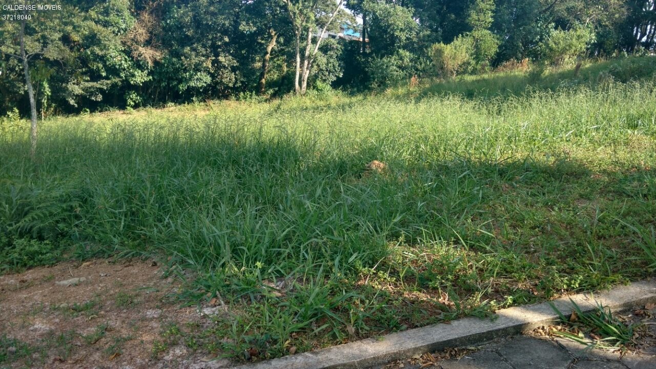 Chácara - Foto 1