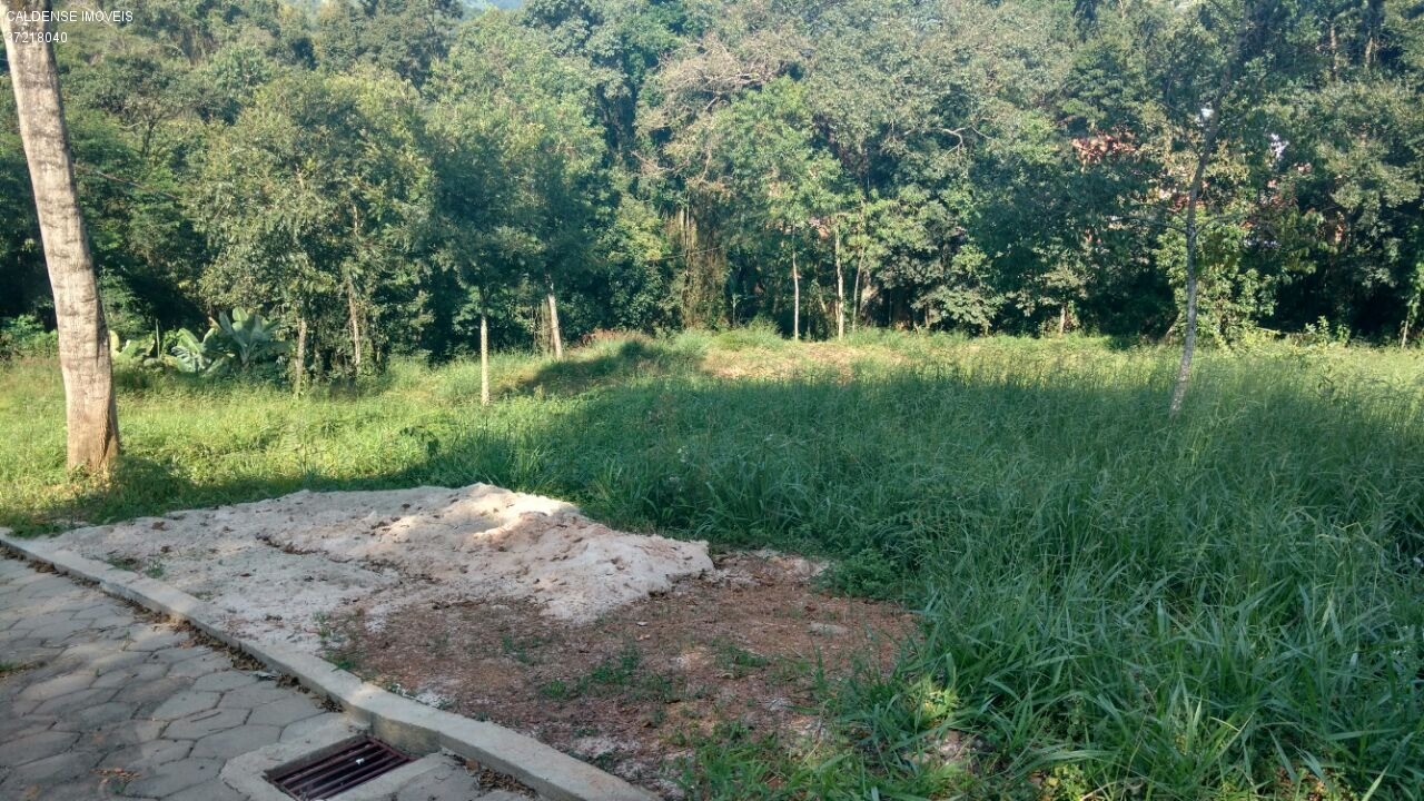 Chácara - Foto 5