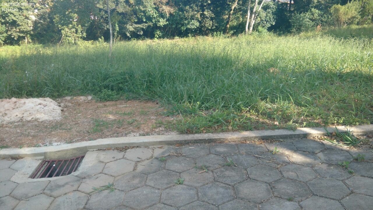 Chácara - Foto 6