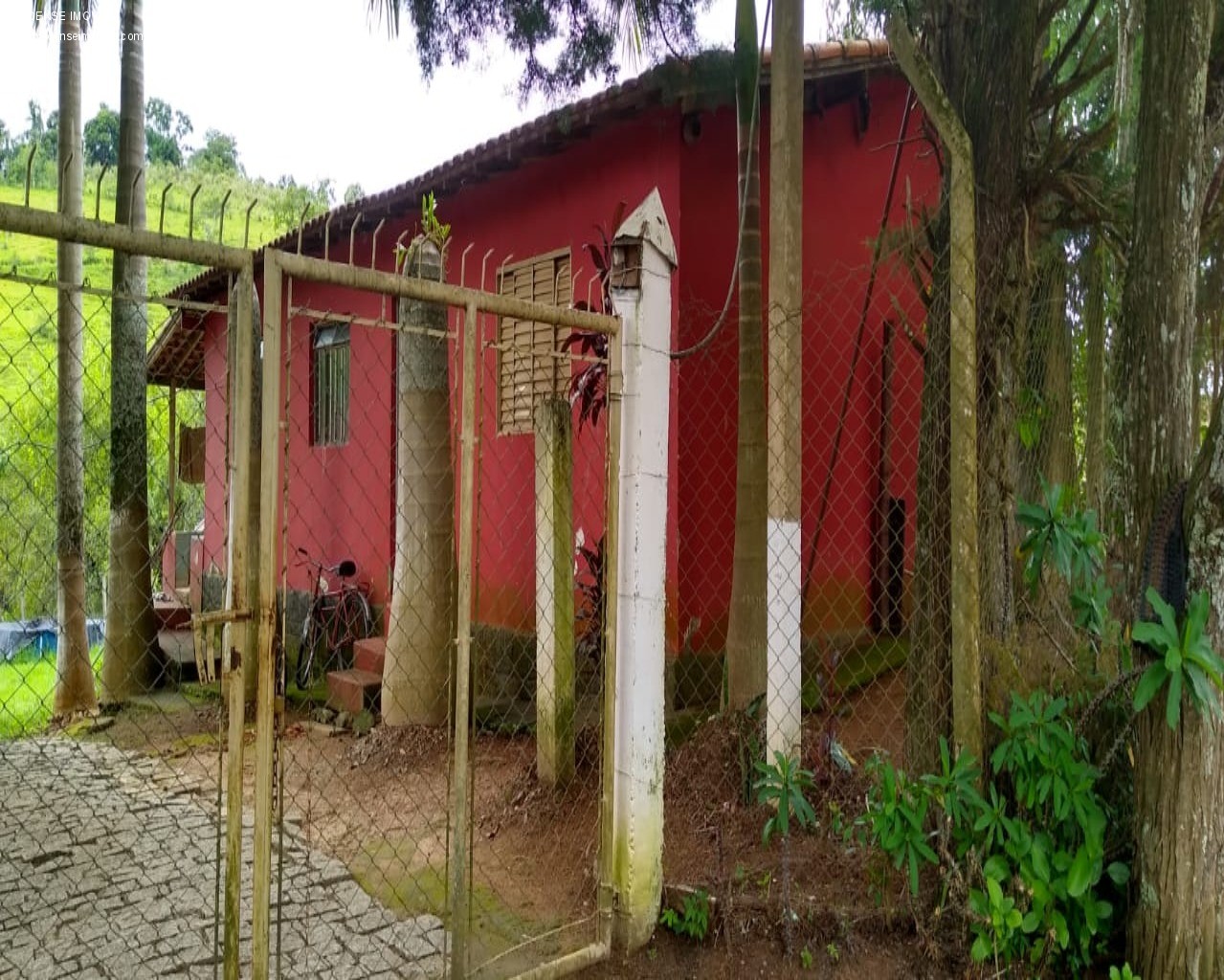 Chácara, 3 quartos, 7000 m² - Foto 2