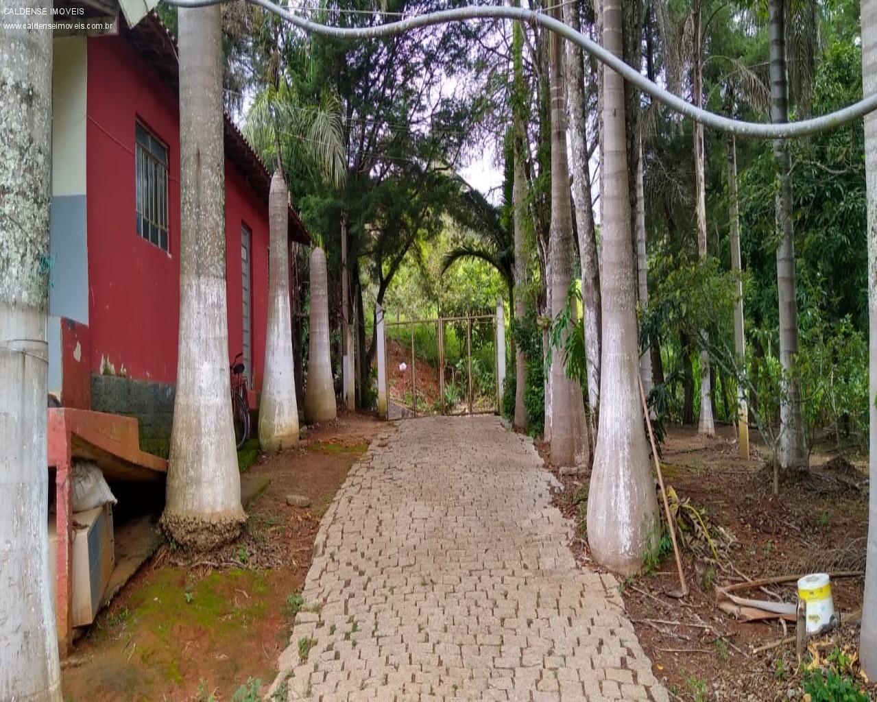 Chácara, 3 quartos, 7000 m² - Foto 4