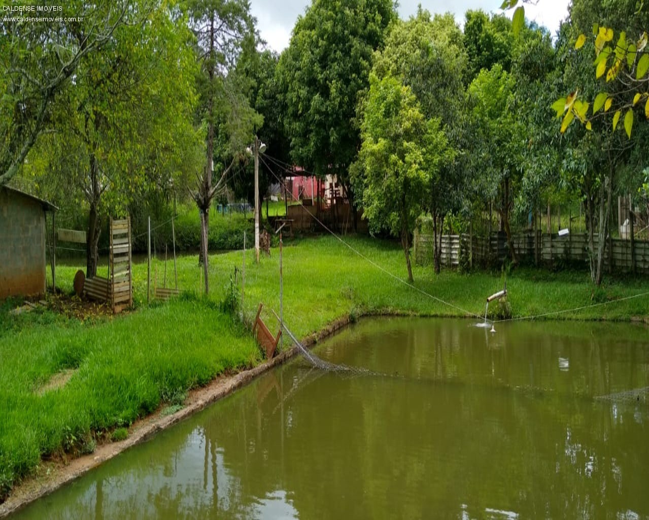 Chácara, 3 quartos, 7000 m² - Foto 5
