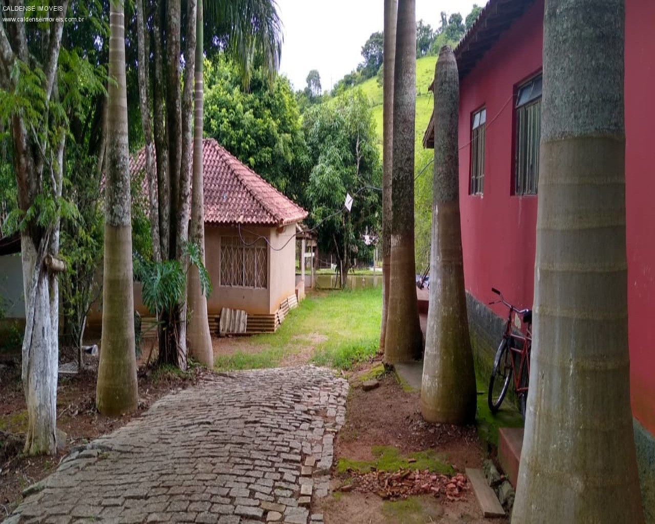Chácara, 3 quartos, 7000 m² - Foto 3