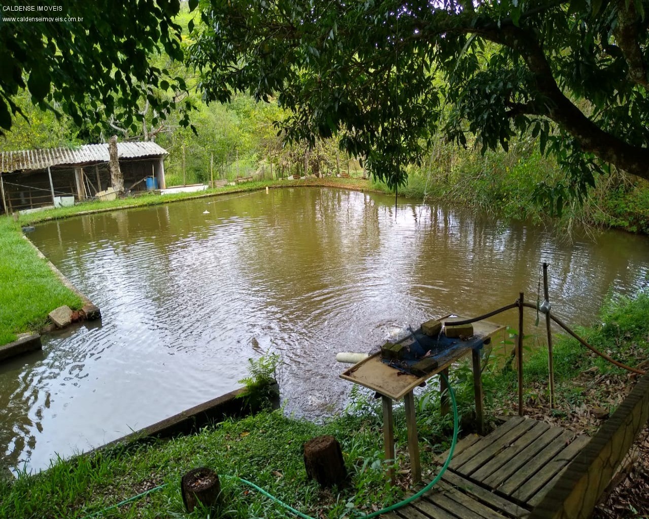 Chácara, 3 quartos, 7000 m² - Foto 12