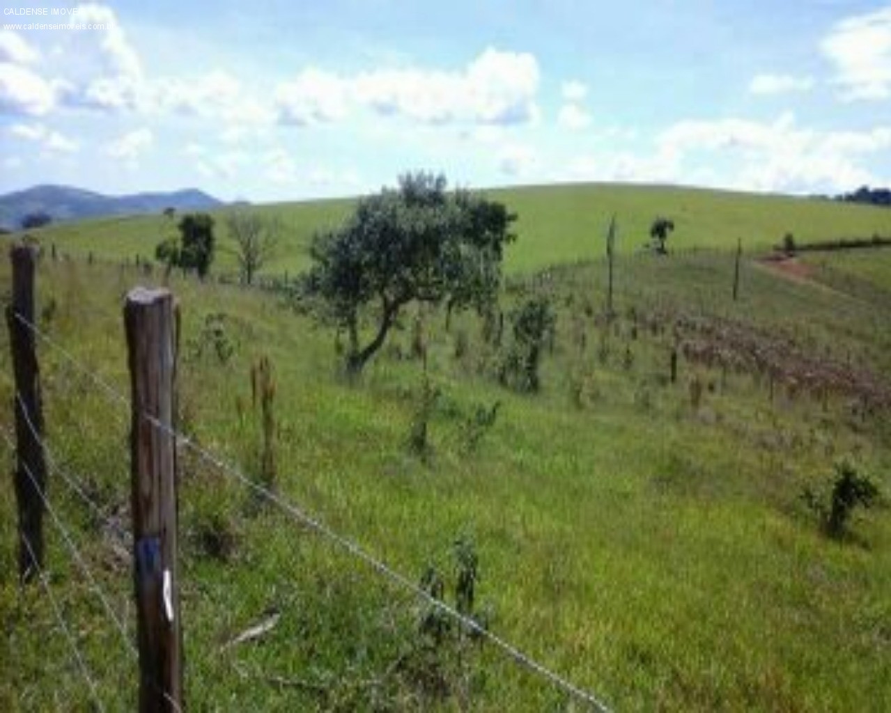 Terreno - Foto 4