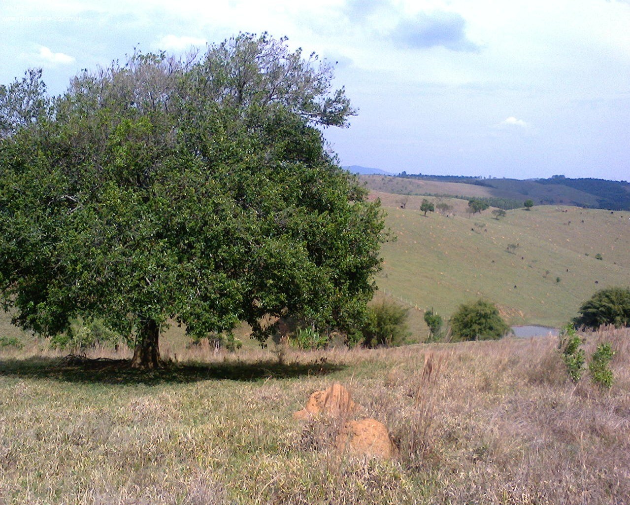 Terreno - Foto 6