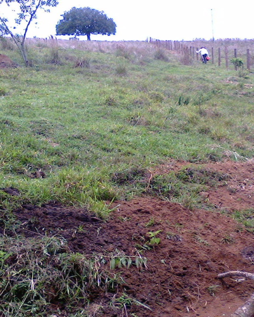 Terreno - Foto 11