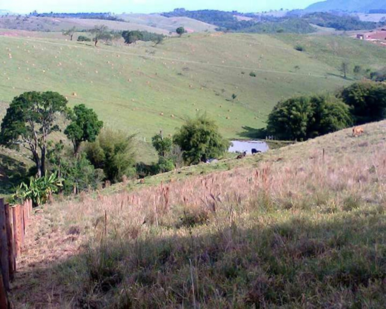 Terreno - Foto 14