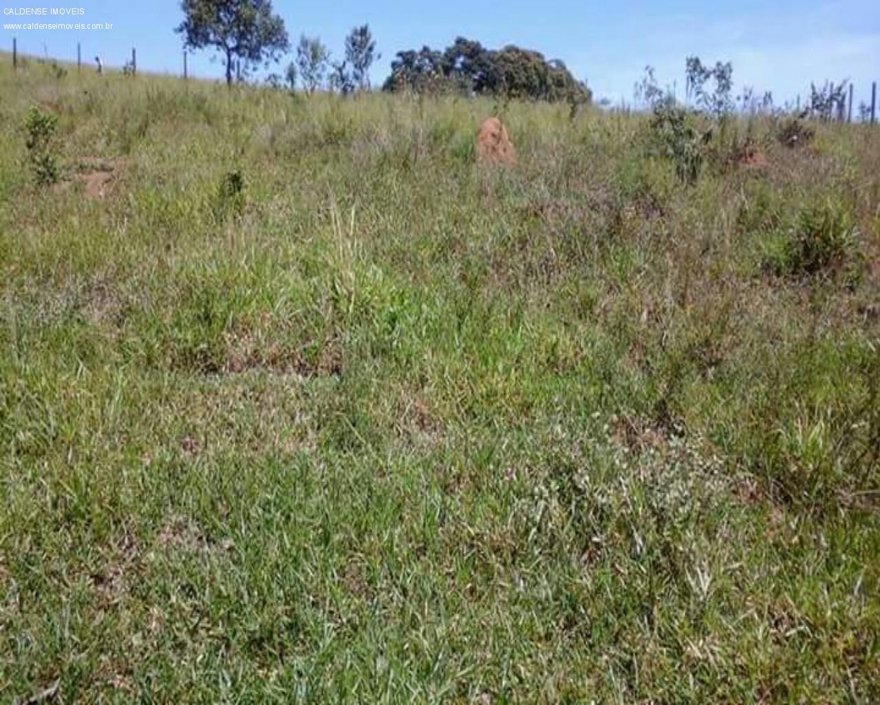 Terreno - Foto 16