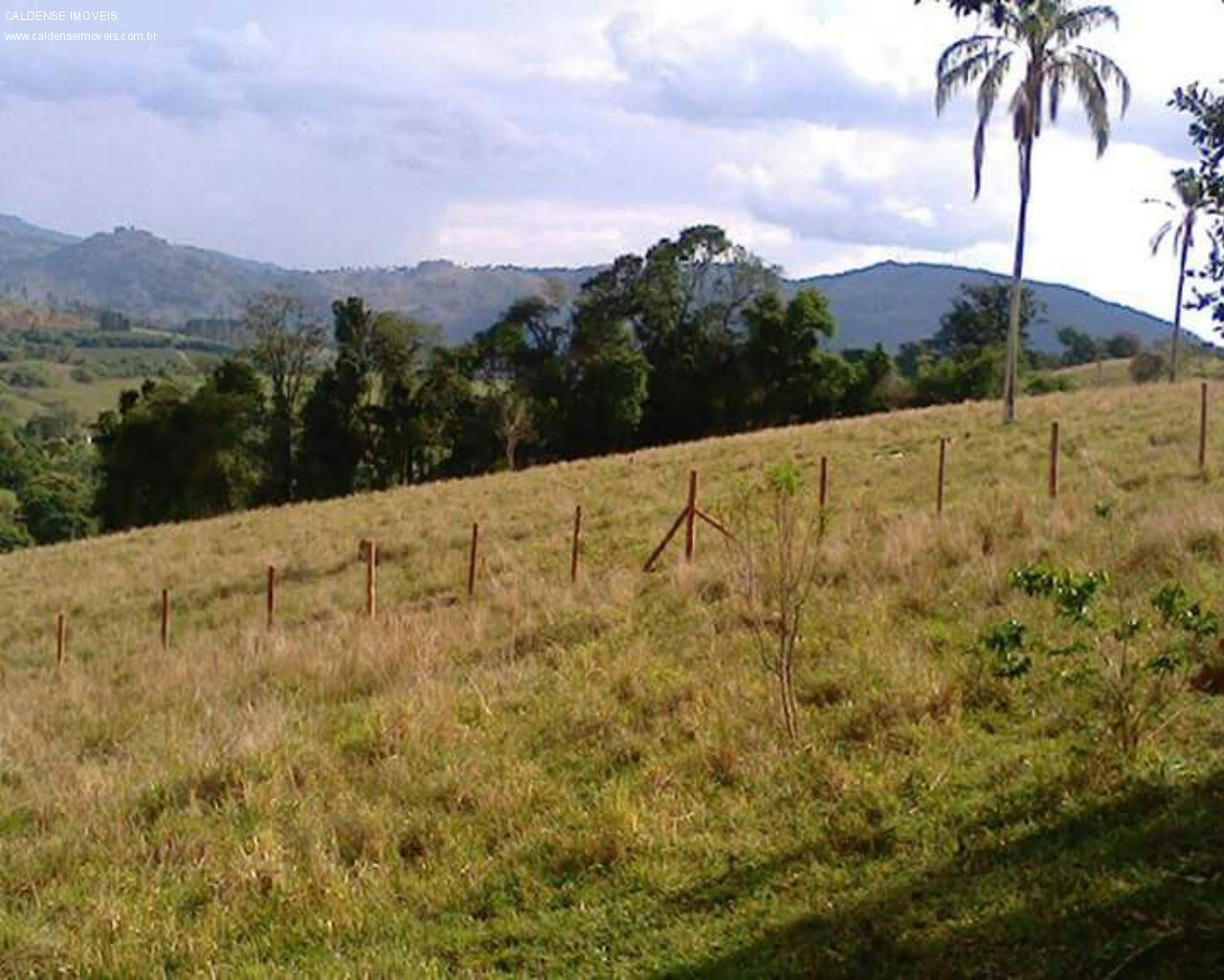 Terreno - Foto 17