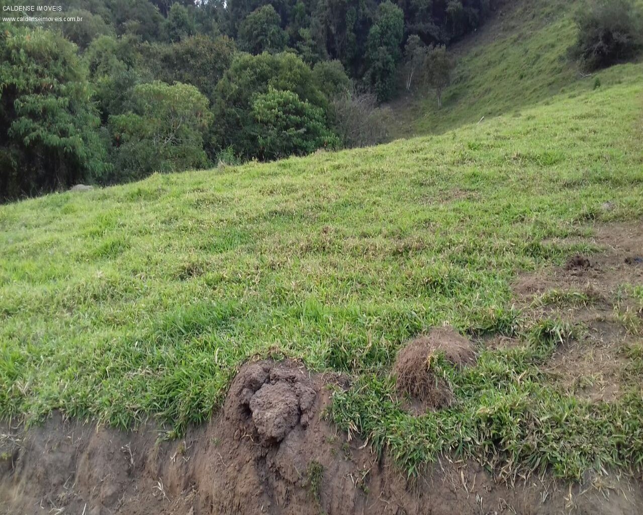 Terreno - Foto 23