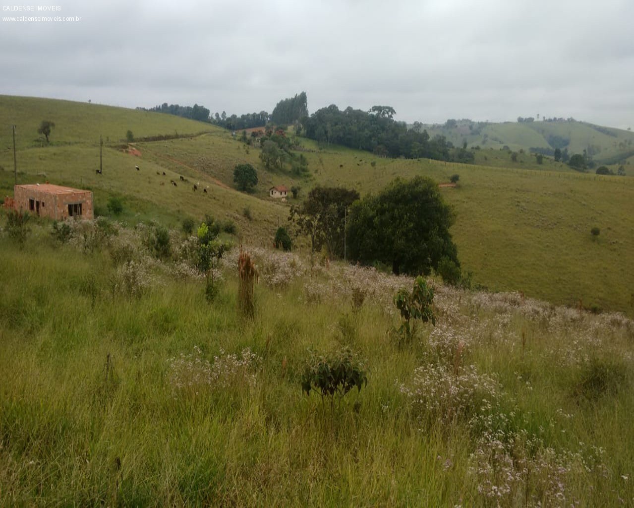 Terreno - Foto 29