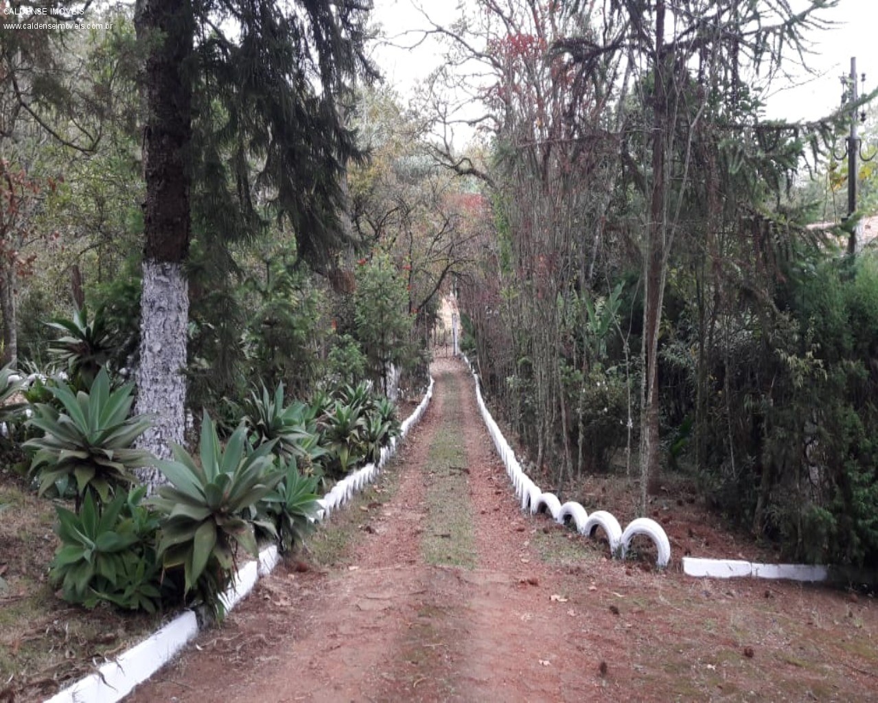 Chácara, 4 quartos - Foto 4