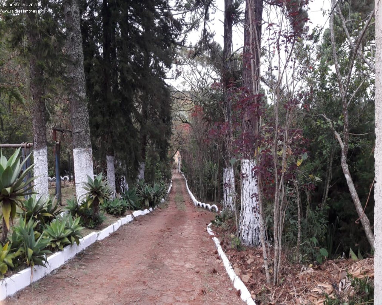 Chácara, 4 quartos - Foto 21