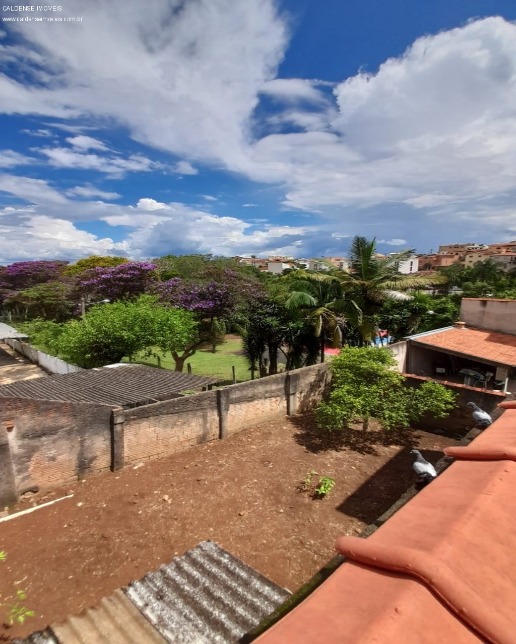 Casa, 4 quartos - Foto 4