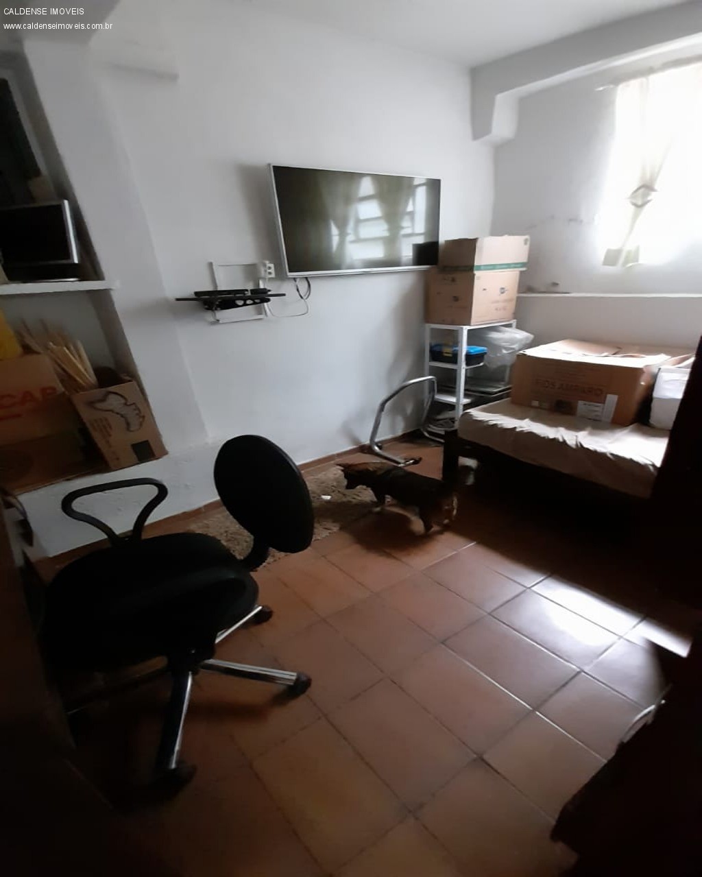 Casa, 4 quartos - Foto 10
