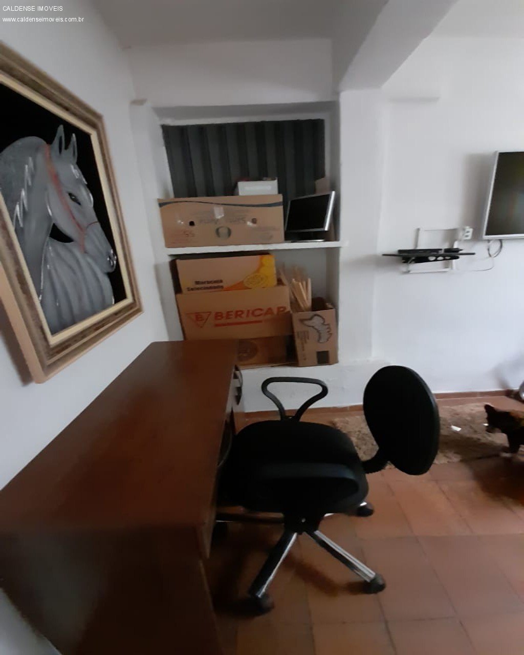 Casa, 4 quartos - Foto 11