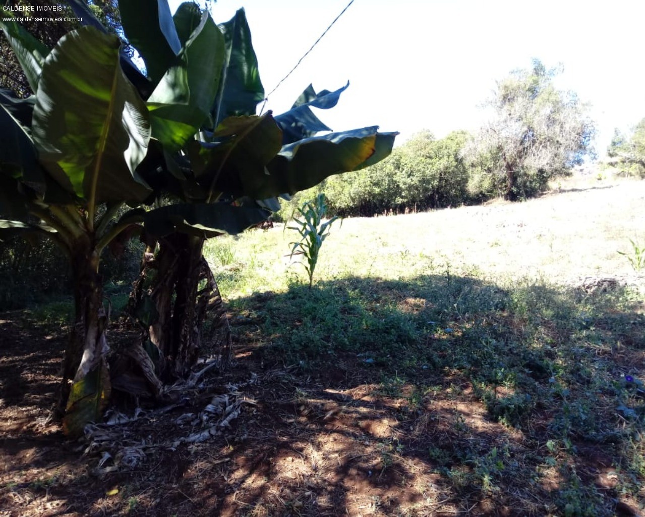 Chácara - Foto 9